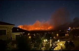 İzmir’in Foça ilçesinde meydana gelen orman yangınına...