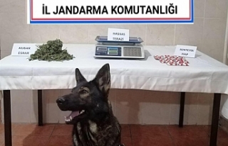 Balıkesir'de Polis - Jandarma 24 saat