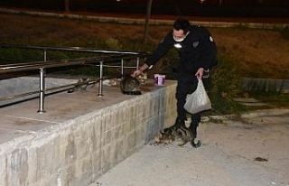 İzmir polisinden örnek davranış: Aç kalan hayvanları...