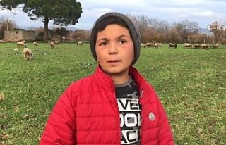 12 yaşındaki küçük çoban videolarındaki diyalogları...