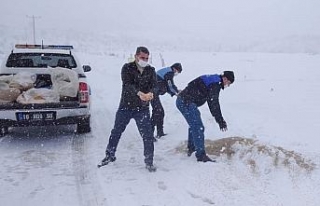 Karacabey’de karla mücadele