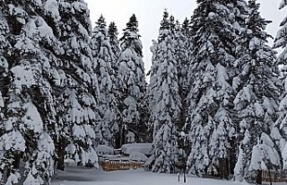 Bursa’da tahminler değişti, kar yağışı hafta...