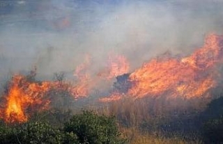 İznik Gölünde korkutan yangın: 60 dönüm arazi...