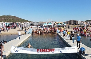 Ayvalık’ta Açık Su Yüzme Şampiyonası heyecanı