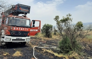 Bandırma'da arazi yangını kontrol altına...
