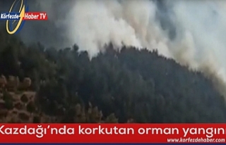 Edremit Kazdağları'nda korkutan orman yangını