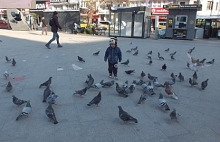 Burhaniye’de Çocuklar Güvercinleri Besliyor