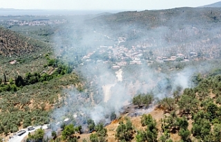 Mehmetalan Mahallesinde Korkutan Yangınlar