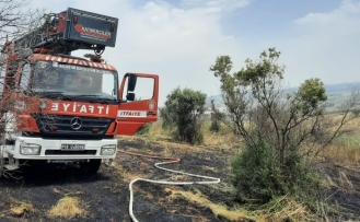 Bandırma'da arazi yangını kontrol altına alındı