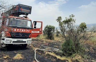 Bandırma'da arazi yangını kontrol altına alındı