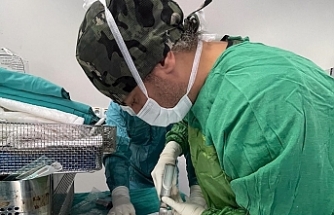 BAÜN Hastanesinde Donörden Canlıya “Eklem Yüzeyi Nakli” Gerçekleştirildi