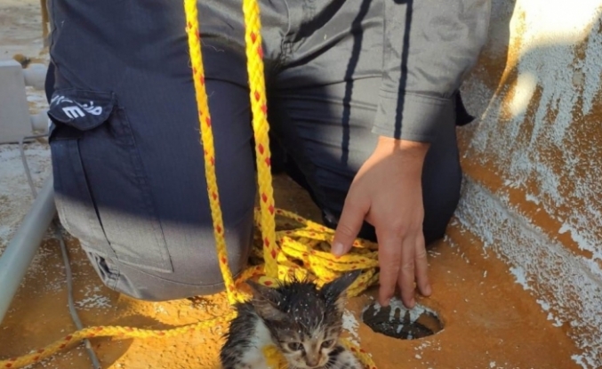 Edremit’te gidere düşen kediyi itfaiye ekipleri özel uğraşla çıkardı