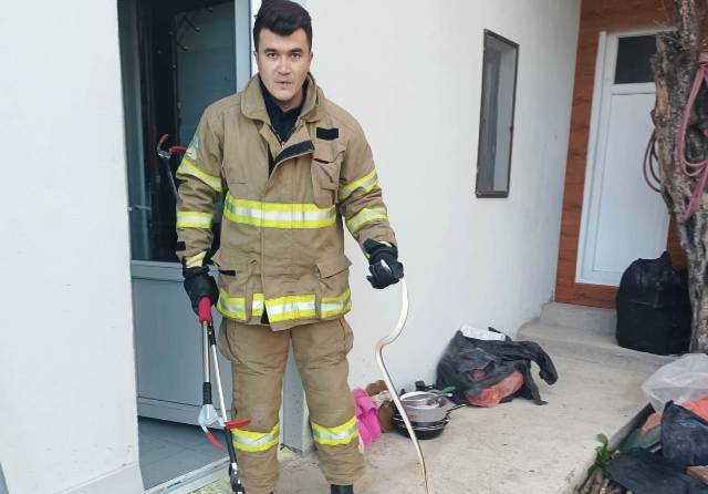 Havran’da Evde Yılan Paniği!