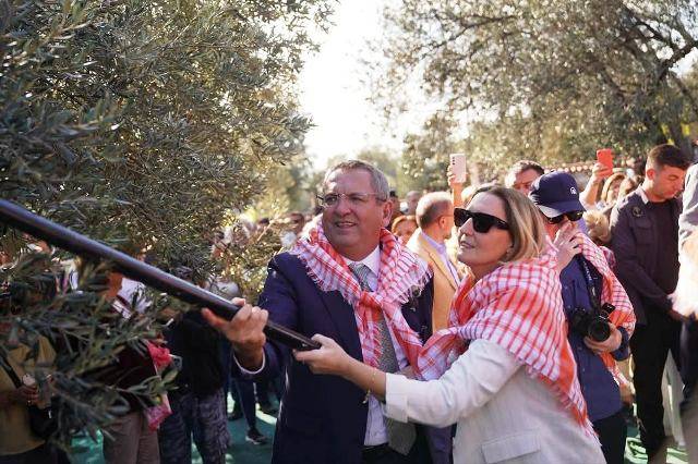 20. Ayvalık Uluslararası Zeytin Hasat Festivali’mizin ilk zeytin hasadını gerçekleştirdik.