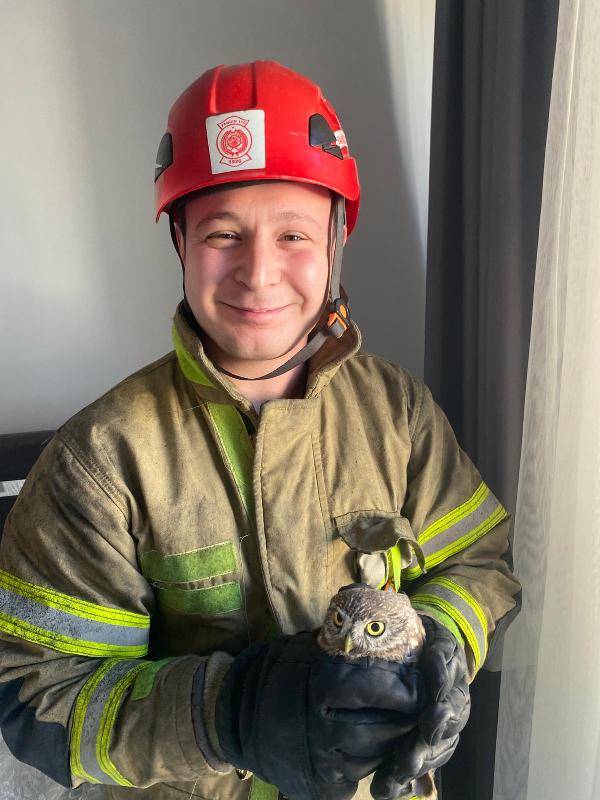 Edremit baykuşu itfaiyeciler tarafından kurtarıldı