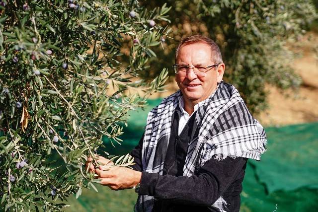 Mesut Ergin: “Dünya Zeytin Ağacı Günü Kutlu Olsun”