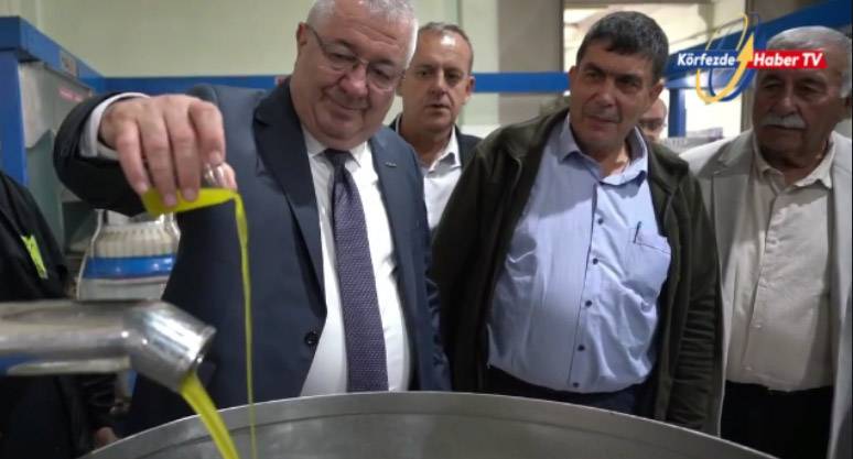 Edremit Belediye Başkanı Ertaş, emekçilerle zeytin topladı