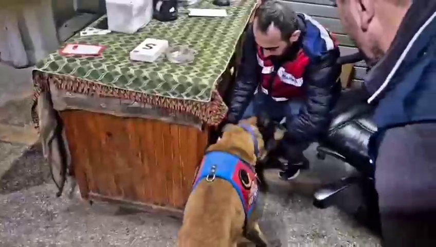 Dursunbey'de büyük suç operasyonu: 9 şüpheli yakalandı,