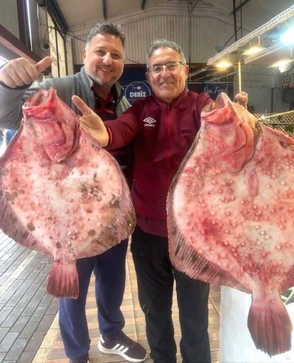 Bandırma’da tezgahlarda Kalkan bolluğu yaşanıyor