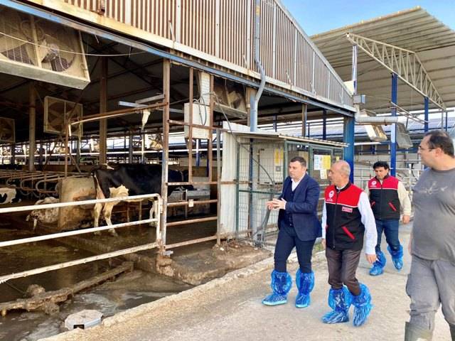 Balıkesir’de Şap Aşılama Çalışmalarıyla Sürü Sağlığı Güçlendiriliyor