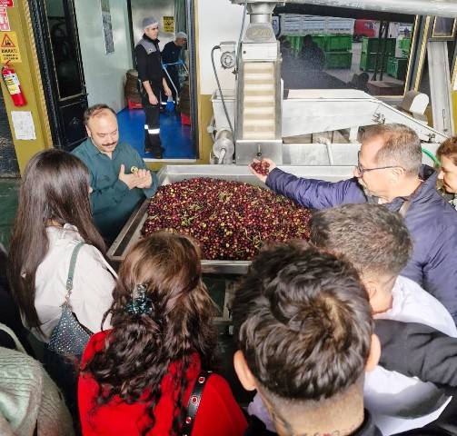Ayvalık MYO Öğrencilerinden Zeytincilik İşletmesine Teknik İnceleme Ziyareti