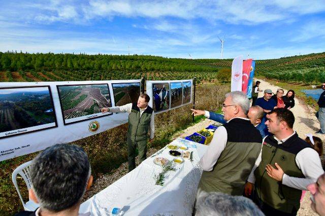 Orman Genel Müdürü Bekir Karacabey, Bandırma'da zeytin hasadı yaptı