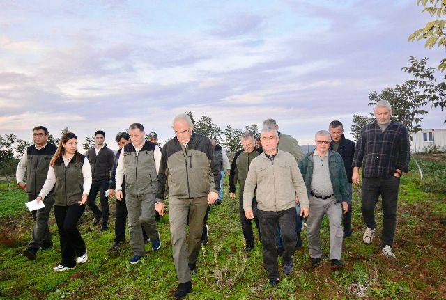 Gönen Ceviz Gelir Getirici Tür Ağaçlandırma Sahasında İncelemelerde Bulundu