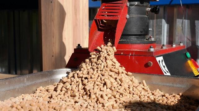 Büyükşehir, can dostların mamasını kendi üretiyor