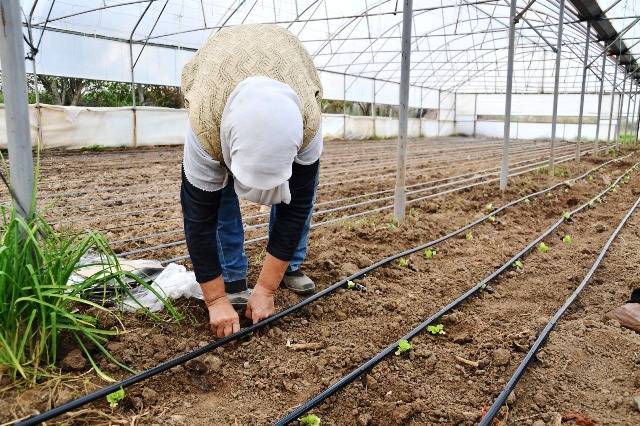 Büyükşehir desteğiyle topraklar bereketlendi