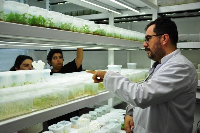 BAÇEM’de V. Bitki Doku Kültürü Kursu Tamamlandı