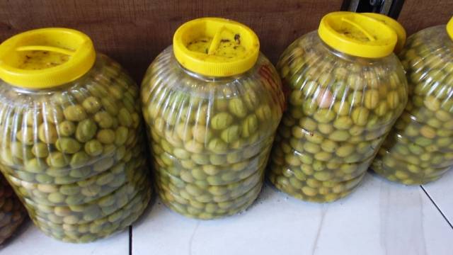 Burhaniye de kırma zeytinlerin hazırlanmasına başlandı