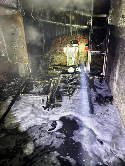 Savaştepe’de tavuk çiftliğinde yangın