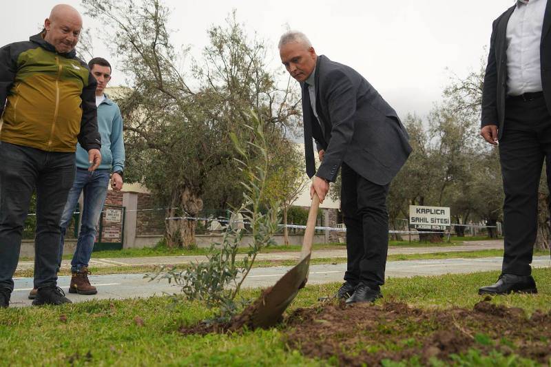 Kar Spor İda Ultra öncesinde zeytin fidanları toprakla buluştu