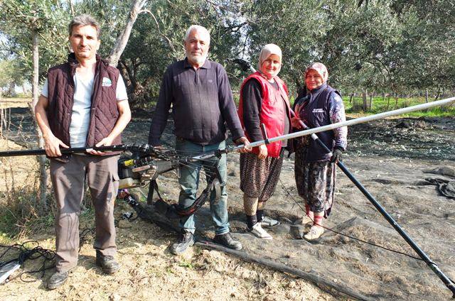 Burhaniye de makineli hasat zeytinde verimi artırıyor