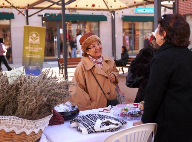 Her Şey Ayvalık Fidanları İçin