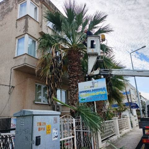 Ayvalık’ta Kışa Hazırlık…