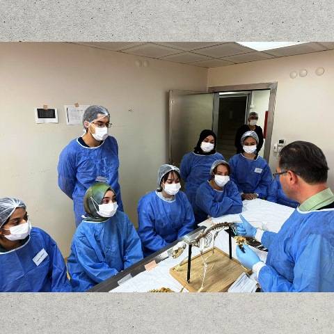 BAÜN’de Deney Hayvanları Kullanım Sertifikası Kursu’nun 11’incisi Tamamlandı