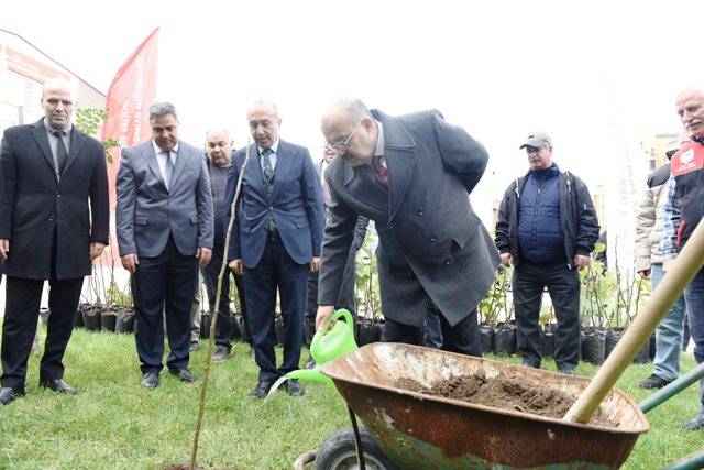 Balıkesir’de İncir Üretimi Güçleniyor