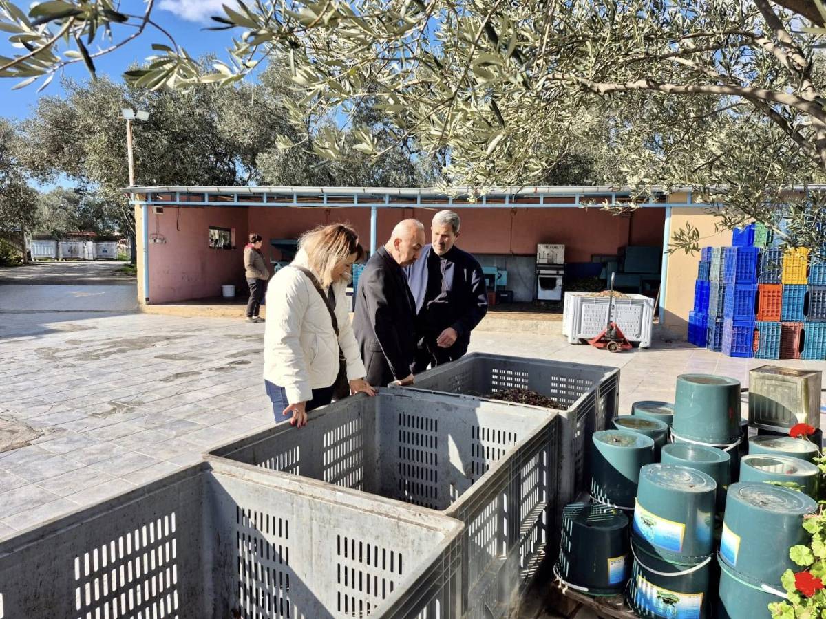 Balıkesir İl Tarım ve Orman Müdüründen Edremit’te Zeytincilik İşletmesine Ziyaret