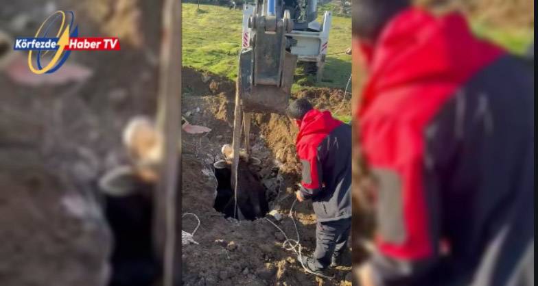 Sındırgı’da Nefes Kesen Hayvan Kurtarma Operasyonu