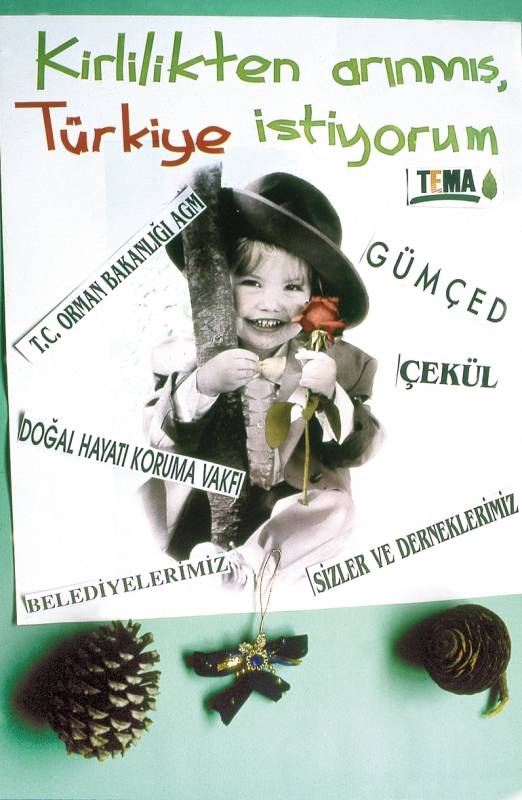 Sonbahar ve Meşe Palamutu Vasiyeti