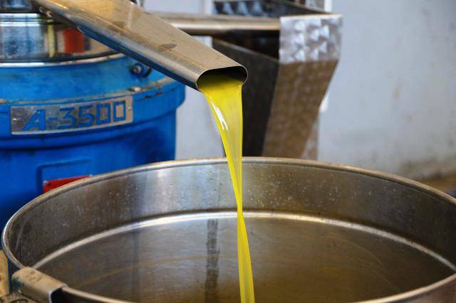 Burhaniye Belediyesi Zeytinyağları Satışa Sunuldu