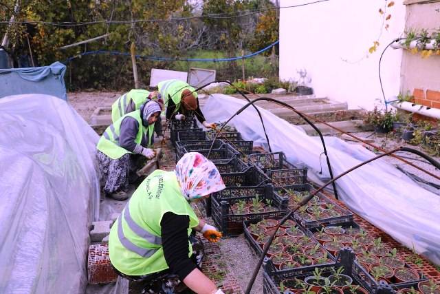 Edremit Belediyesi'nden İklime Dirençli Adım