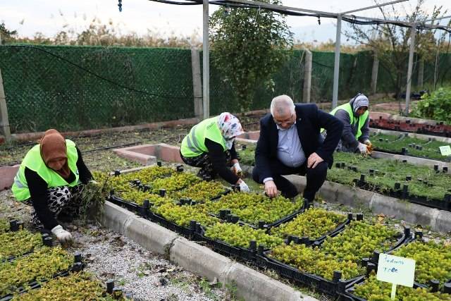 Edremit Belediyesi'nden İklime Dirençli Adım