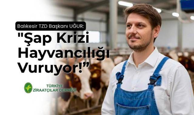 Şap Krizi Hayvancılığı Vuruyor! Tarım Bakanlığı Acil Desteğe Çağrıldı