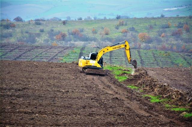 Orman köylüsünün yüzü gülüyor....