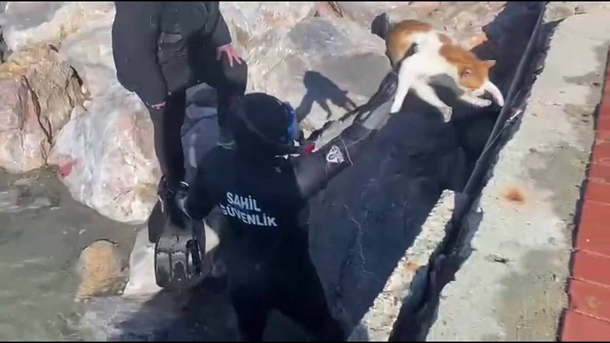 Balık adamları bu kez Akçay’da  bakın kimi kurtardı!