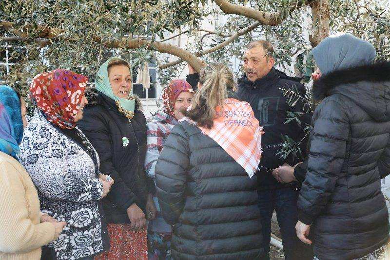 Edremit’te Meci Şenliği coşkusu: Zeytin kokusu sokaklara yayıldı