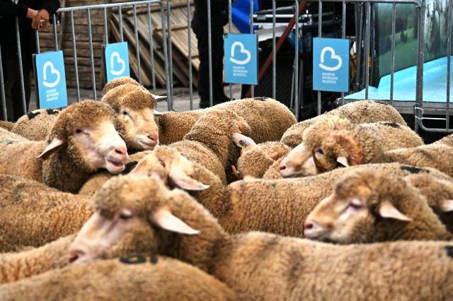 Bigadiçli üreticinin yüzünü Başkan Akın güldürdü