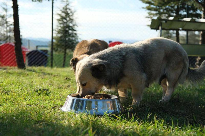 Altıeylül'de Başkan Şehirli: 
